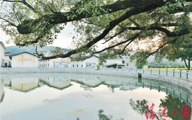 清远市佛冈县水头镇人口_清远市佛冈县城东中学(3)
