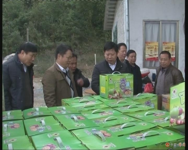 冯提莫收入多少_2018收入多少为小康(3)