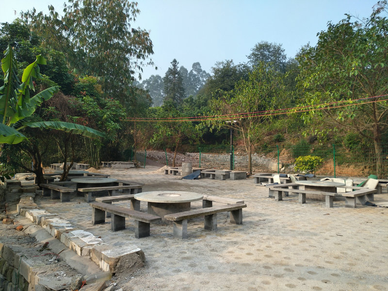 北山公园建烧烤场引争议