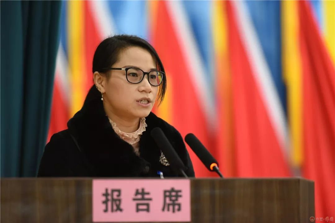 朱英萍委员代表提案组发言