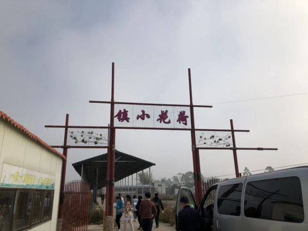 荷花小镇