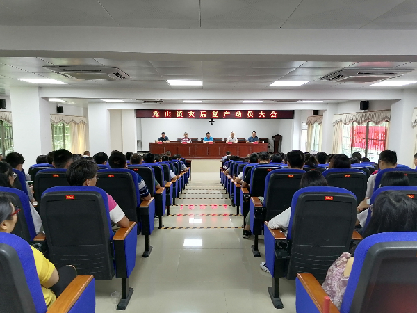 龙山镇召开灾后复产动员大会