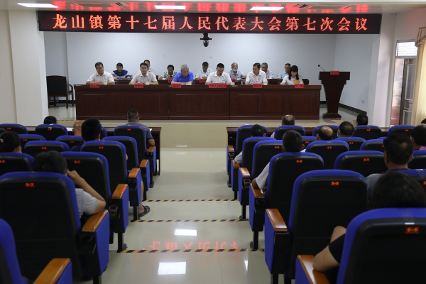 龙山镇第十七届人民代表大会召开