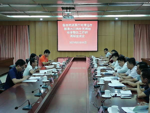 省自然资源厅调研组到佛冈调研垦造水田和补充耕地项目核查整改工作