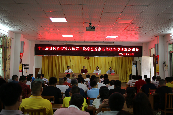 县委书记董和平参加巡察石角镇情况反馈会