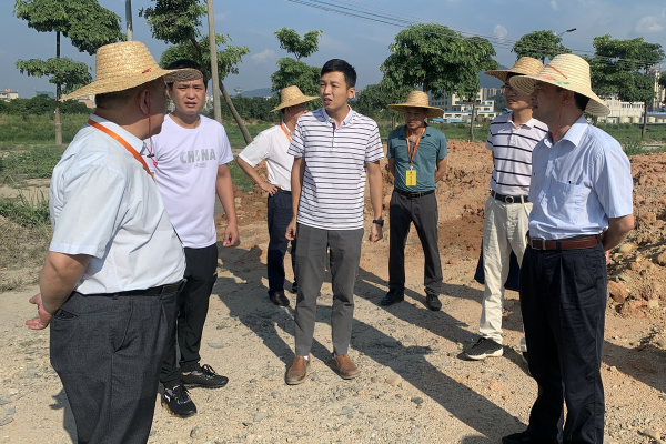 县人大对佛冈贯彻大气污染防治法等法律情况进行执法检查