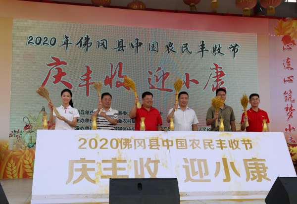 2020年佛冈县中国农民丰收节庆祝活动举行