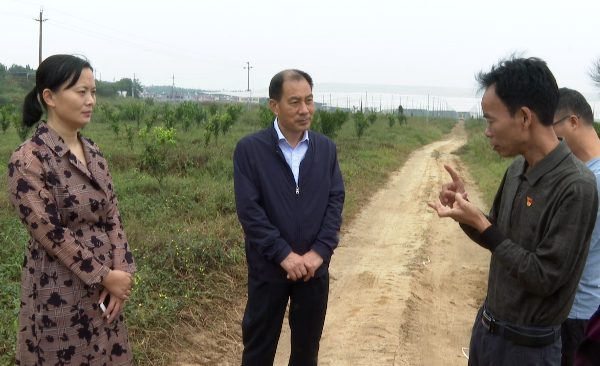 县委书记董和平到迳头镇调研乡村振兴工作