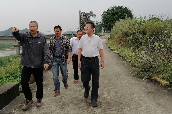 县委副书记、县长蔡旭东到龙山镇潖江巡河，实地督查河长制工作