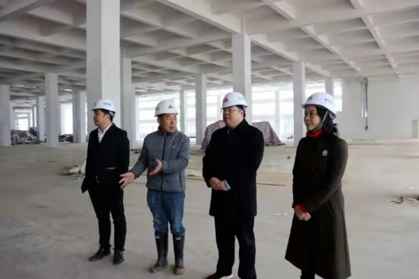 袁卫国到水头镇检查安全生产工作