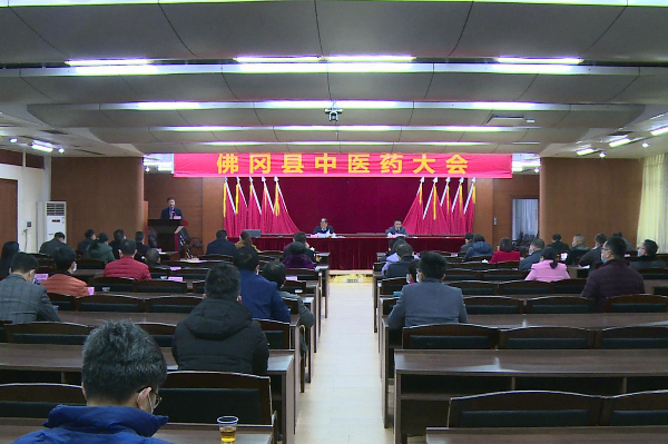 佛冈召开2020年中医药大会