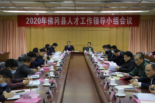 佛冈县召开人才工作领导小组会议
