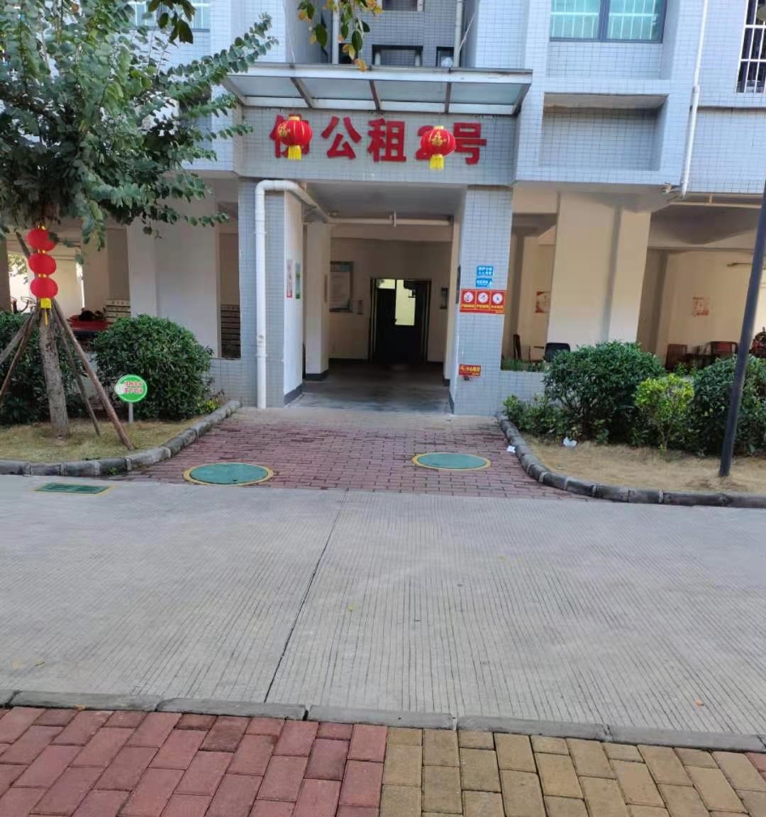 06.jpg