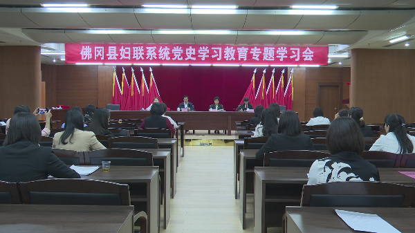 佛冈县妇联第十四届二次执委（扩大）会议召开