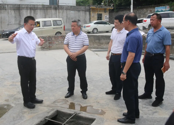 市委常委、副市长严志明率队到佛冈县汤塘镇开展调研活动