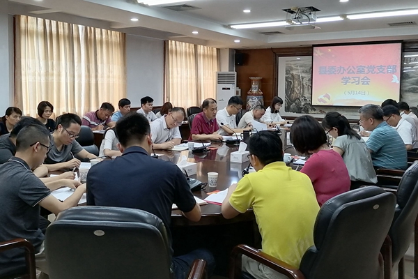县委书记董和平以普通党员身份参加县委办公室党支部学习会