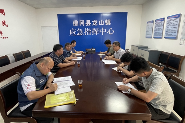 县政协主席袁卫国到龙山镇检查防汛工作