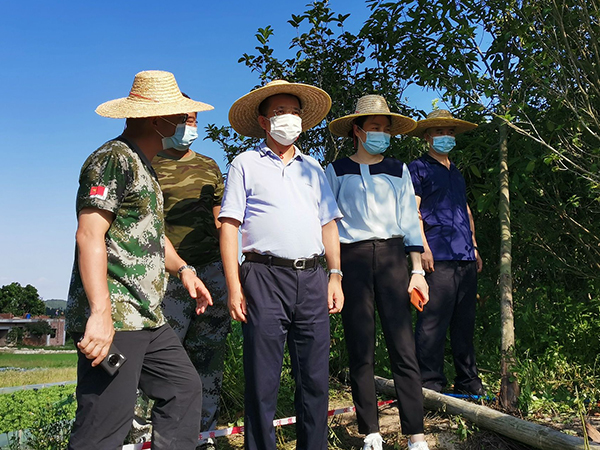 县委副书记、县长蔡旭东检查指导农村乱占耕地建房拆违工作