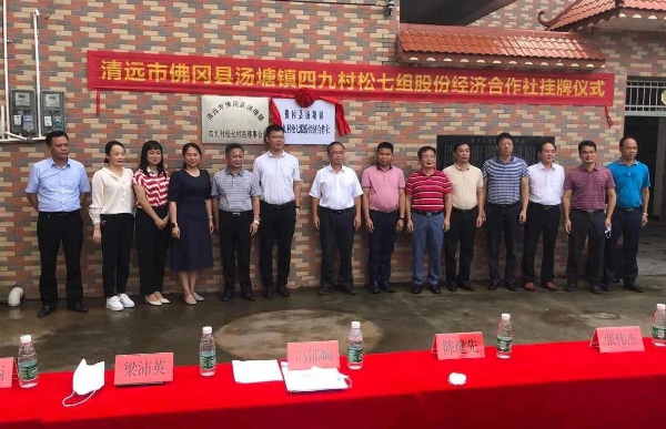 汤塘镇四九村松七股份经济合作社正式揭牌成立