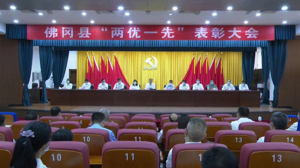 佛冈县召开“两优一先”表彰大会