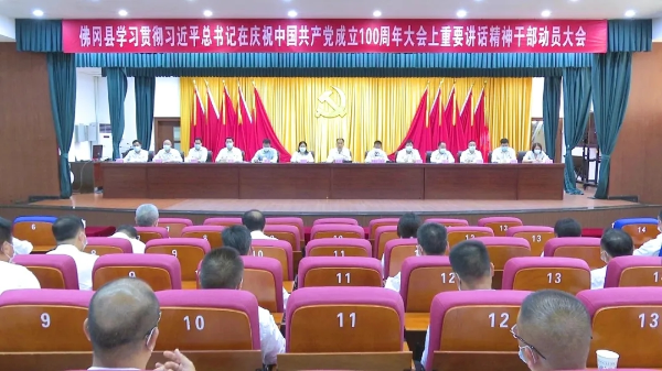 董和平：把深入学习贯彻习近平总书记重要讲话精神与推进佛冈新一轮高质量发展紧密结合起来