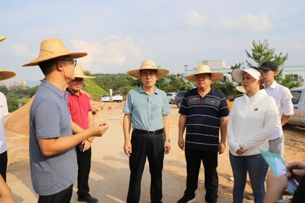 县委书记董和平率队调研佛冈环境整治、农业产业振兴、美丽乡村建设工作情况