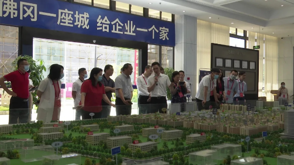 市人大常委会组织在清全国人大代表和省人大代表到佛冈开展专题调研活动