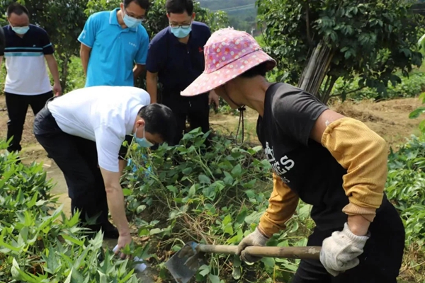 县委书记潘国标带队到汤塘镇湴江村调研疫情防控、疫苗接种工作