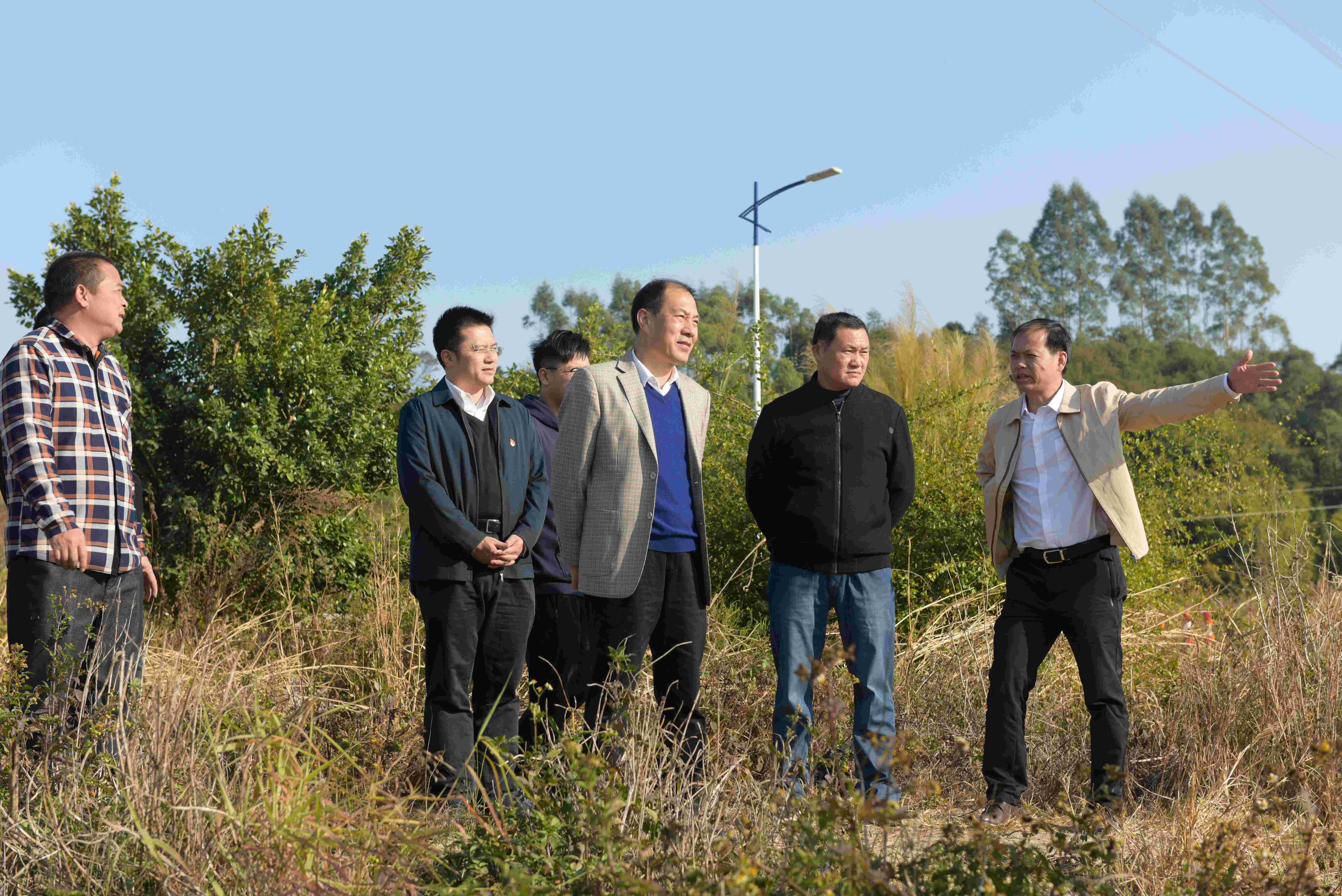 县委书记董和平到石角镇调研农业发展情况