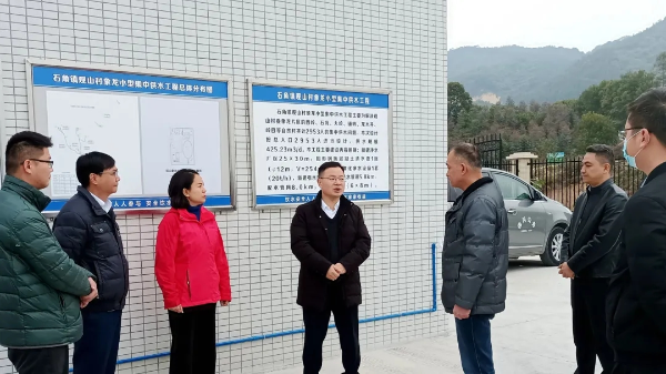 县委副书记、县长江红平率队调研农村集中供水保障和农村污水收集、处理情况