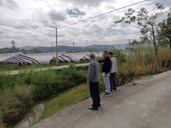 人大代表刘活洪（中）调研围镇村大棚项目情况.jpg