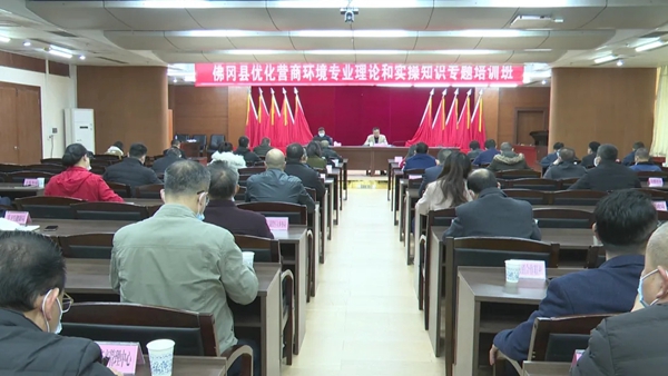 佛冈举办“优化营商环境专业理论和实操知识”专题培训班