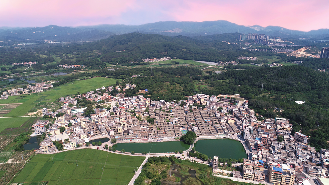 汤塘镇汤塘村.png