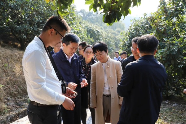市委副书记翟雪梅率调研组到石角镇调研乡村振兴等工作