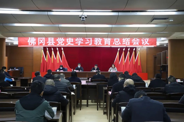 佛冈召开党史学习教育总结会议