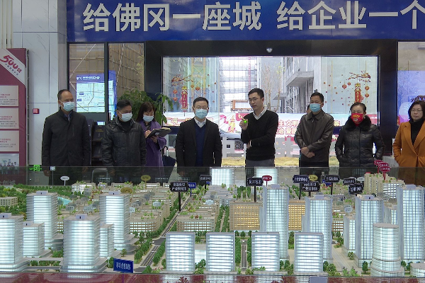 县委副书记、县长江红平率队到汤塘镇，调研疫情防控和安全生产等工作