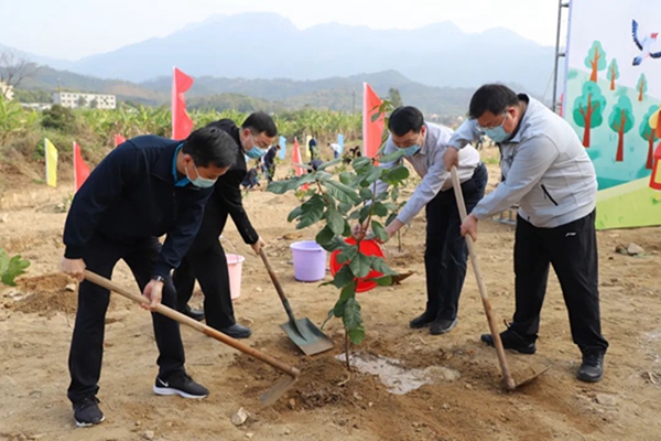 县四套班子领导带头到石角镇开展义务植树活动