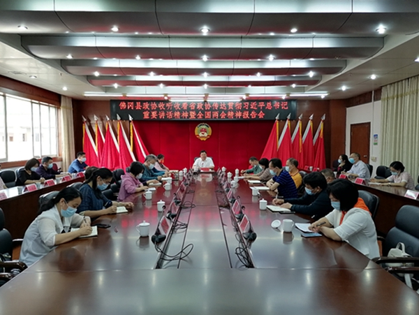 县政协组织收听收看省政协传达贯彻习近平总书记重要讲话精神暨全国两会精神报告会电视电话会议