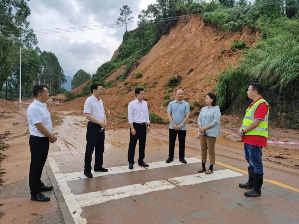 县委书记潘国标到高岗镇格仔村、省道S252线格仔段、宝山村、国道G106诚迳段检查指导防汛救灾工作