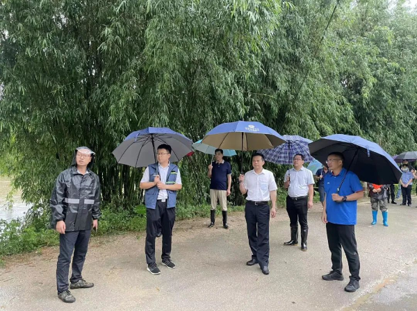 县委书记潘国标主持召开全县防汛抗洪调度会，并到龙山镇乐格村检查抗洪工作