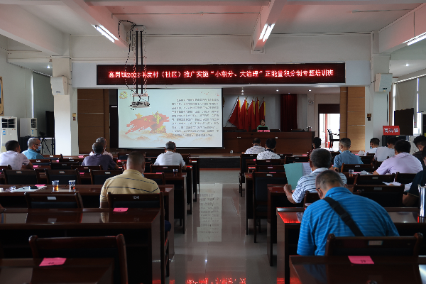 镇党建办副主任黎丽媚讲解小积分大治理.JPG