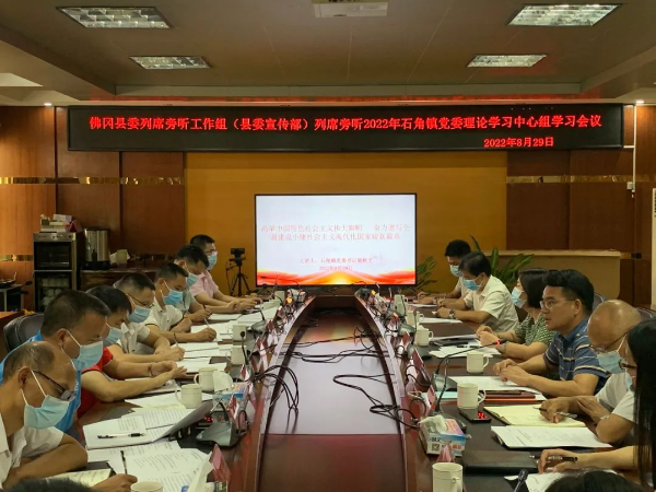 石角镇党委理论学习中心组开展2022年第七次专题学习