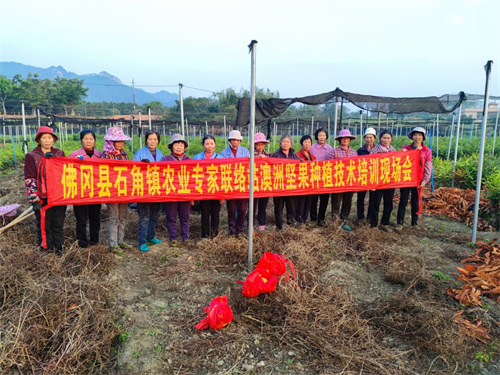 3、石角镇组织农业专家对本地农户开展澳洲坚果种植技术培训.jpg