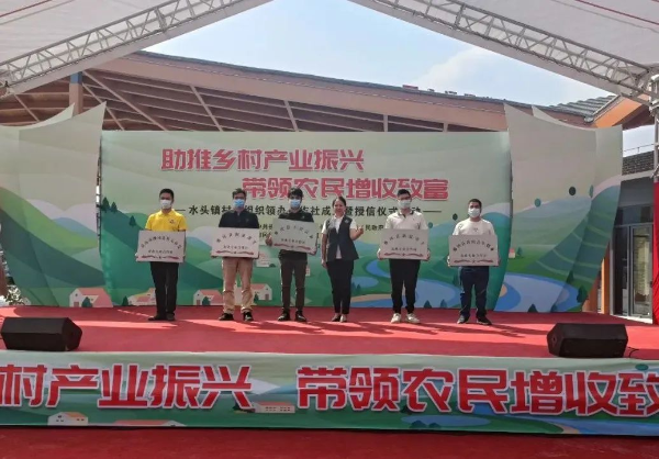水头镇村党组织领办合作社成立暨授信仪式活动举行