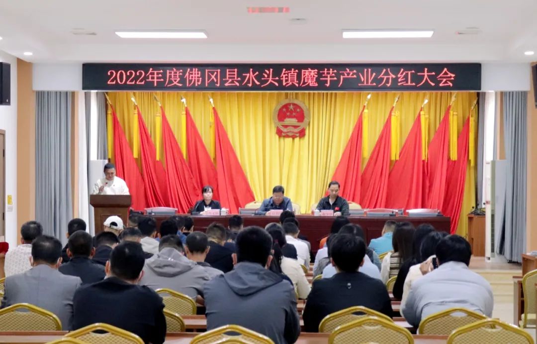 2022年度佛冈县水头镇魔芋产业分红大会召开