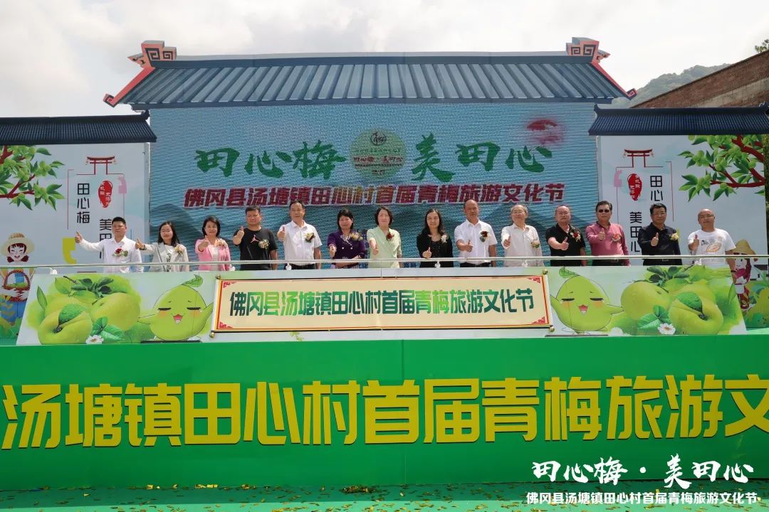 佛冈县首届青梅旅游文化节举行