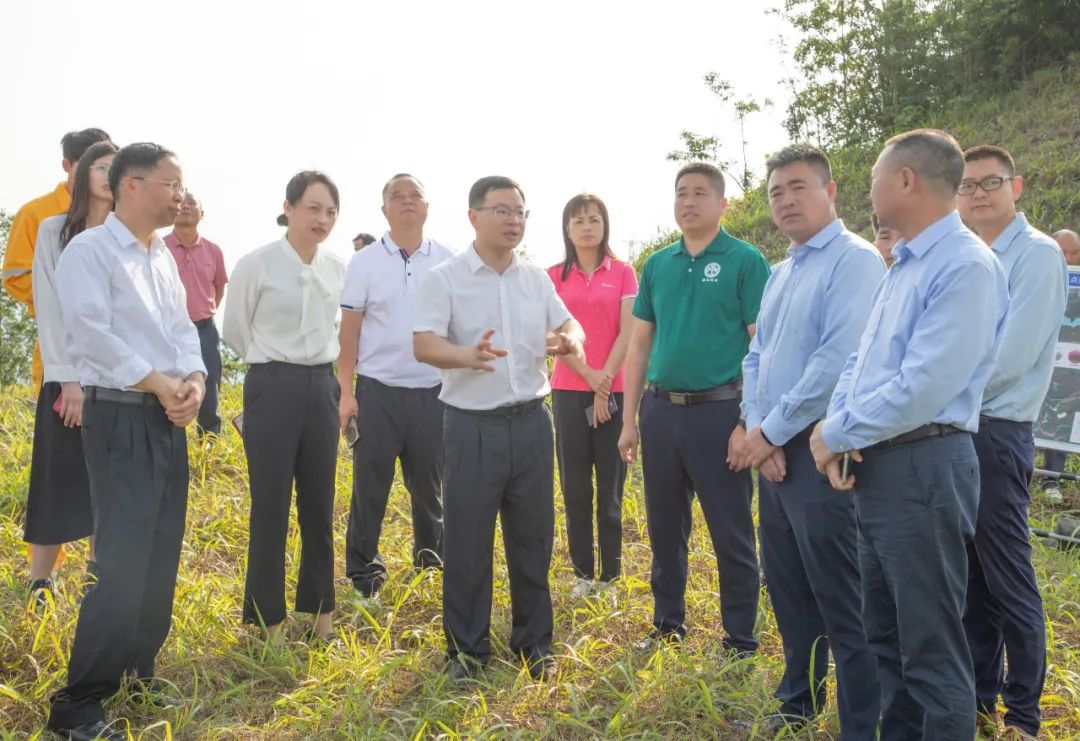 县委副书记、县长江红平率队到羊角山林场调研绿美佛冈生态建设工作