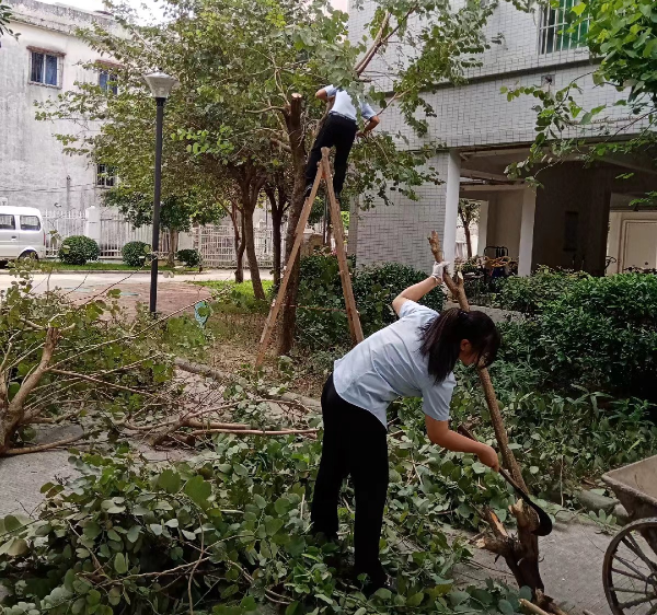 微信图片_20230508093700.jpg