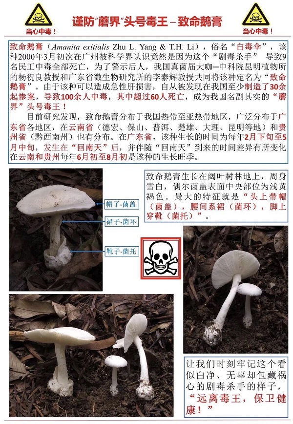 佛冈县食药安办关于预防野生蘑菇中毒的风险提示1.jpg