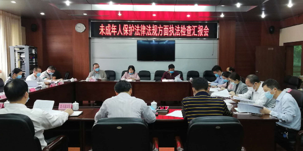 县人大召开关于贯彻落实未成年人保护方面法律法规执行情况汇报会
